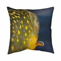 Begin Home Decor 26 x 26 in. Golden Trout Fish-Double Sided Print Indoor Pillow 5541-2626-AN173